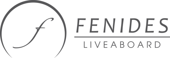 fenides_logo_80_grey_hori.png