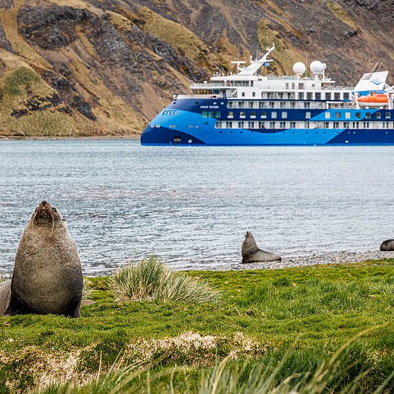utf-8__Grytviken_WKR56006_WernerKruse.jpg