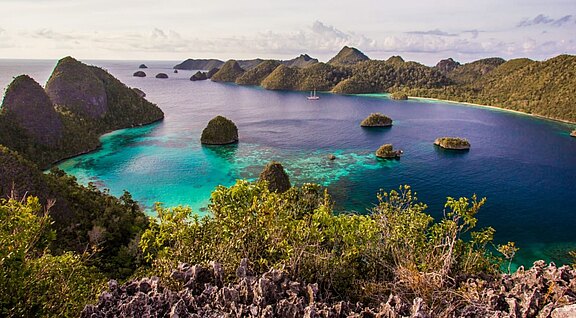 Komodo_Fenides.JPG 