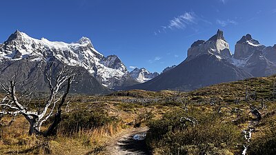 Reise Argentinien und Chile inkl. Patagonien