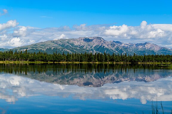 Im Denali Nationalpark