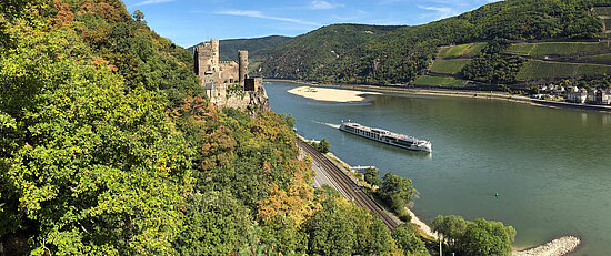 Kulinarische Genüsse entlang des Rheins