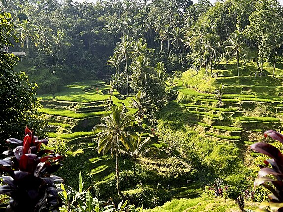 Bali, Indonesien