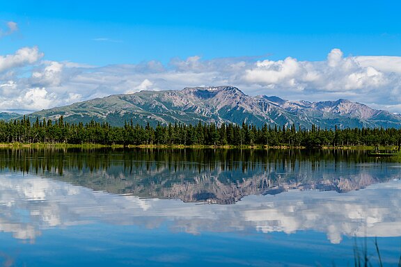 Im Denali Nationalpark Im Denali Nationalpark